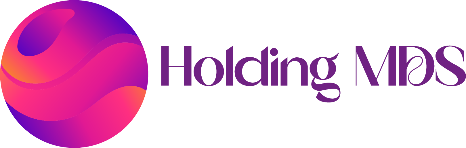 HOLDING GROUP MDS