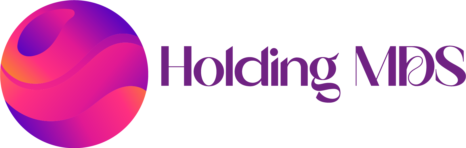 HOLDING GROUP MDS